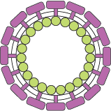 Membrane Protein Nanoparticles