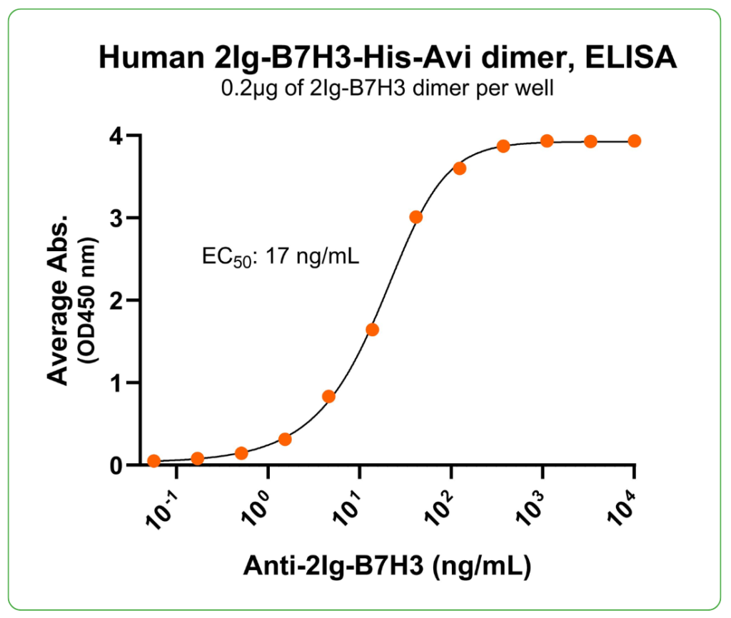 2Ig-B7H3 His-Avi Antibody Binding