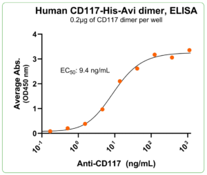CD117 His-Avi antibody binding