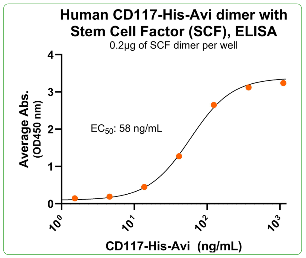 CD117 His-Avi ligand binding
