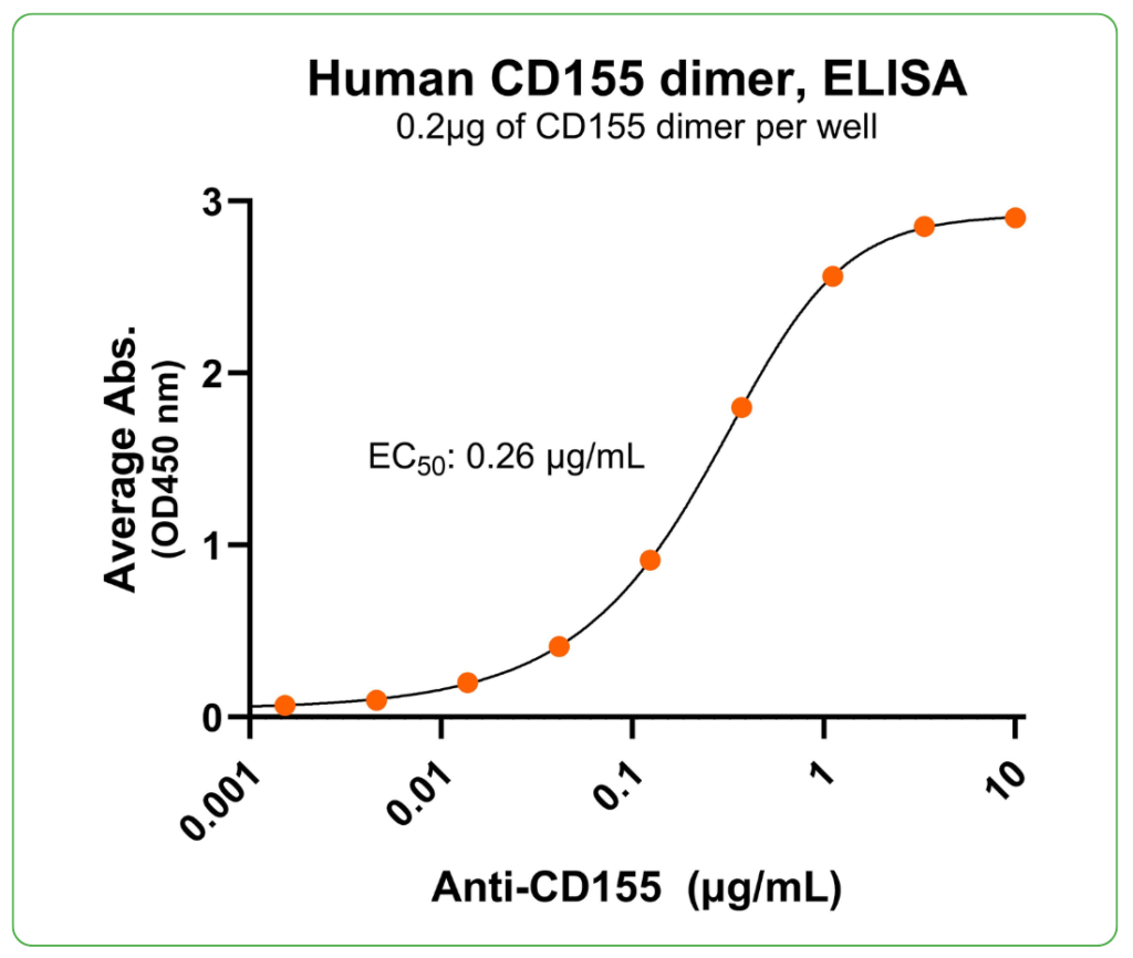 CD155 Antibody Binding