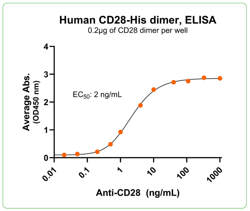 CD28 His tag antibody binding