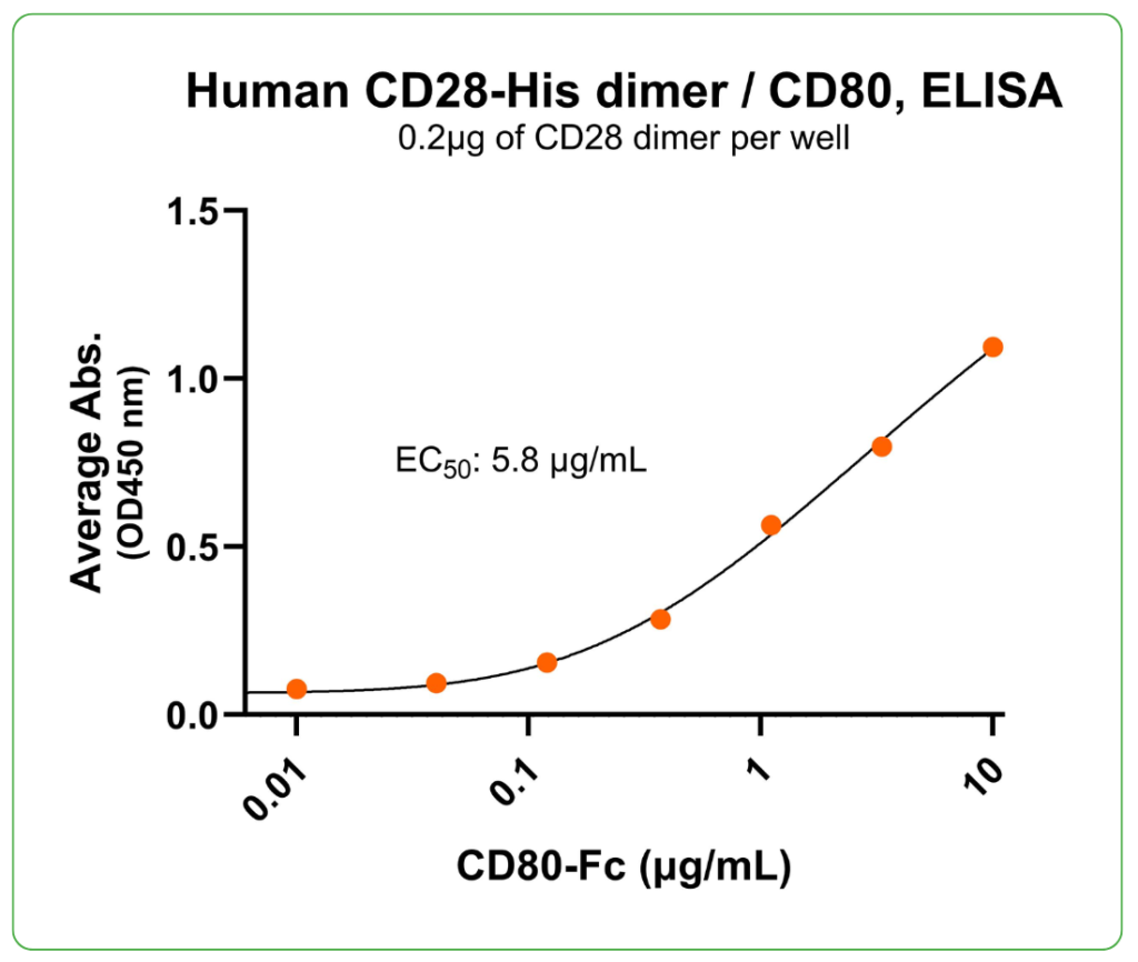 CD28 His tag ligand binding