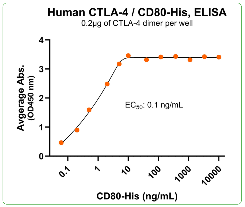 CD80 His ligand binding