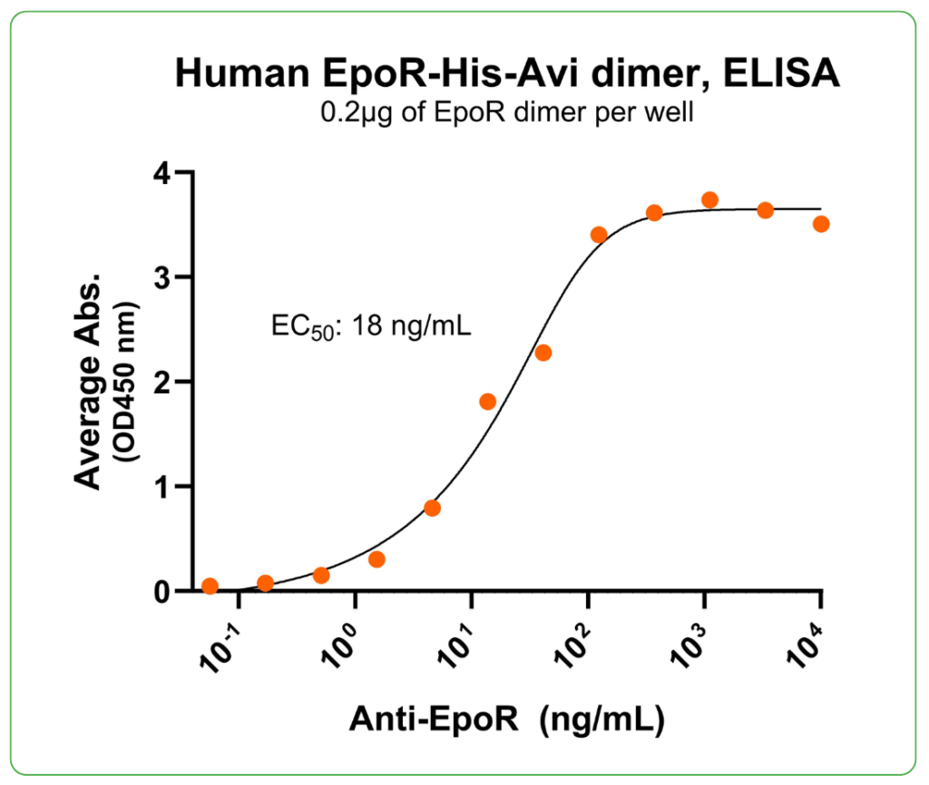 EpoR His-Avi Antibody Binding