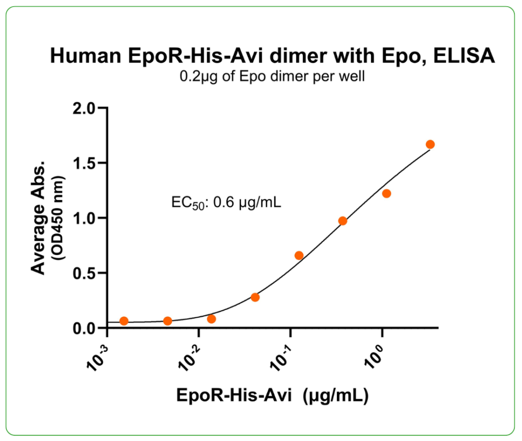 EpoR His-Avi Ligand Binding