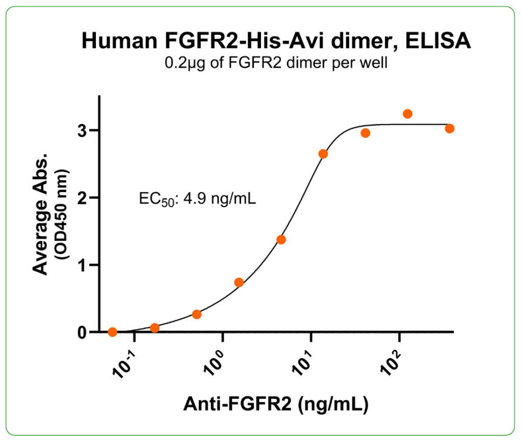 FGFR2 His-Avi antibody binding