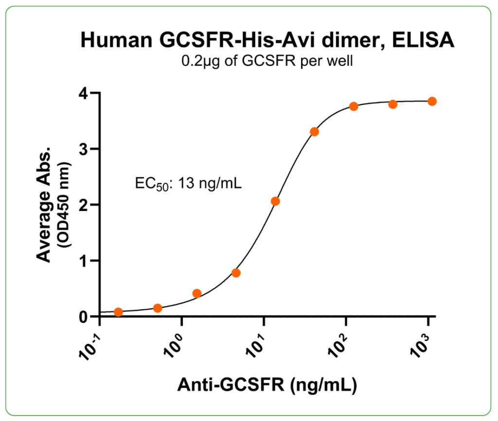 GCSFR His-Avi Antibody Binding