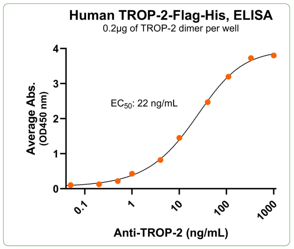 TROP-2 antibody binding