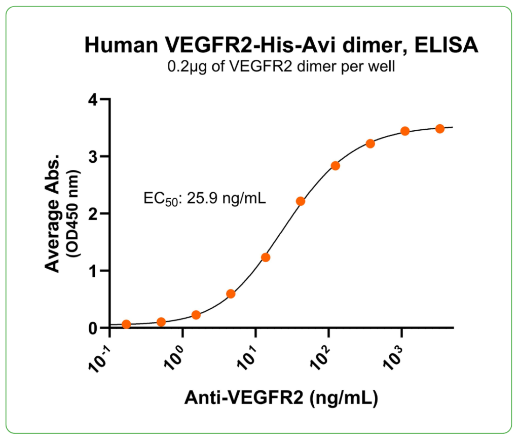 VEGFR2 His-Avi antibody binding