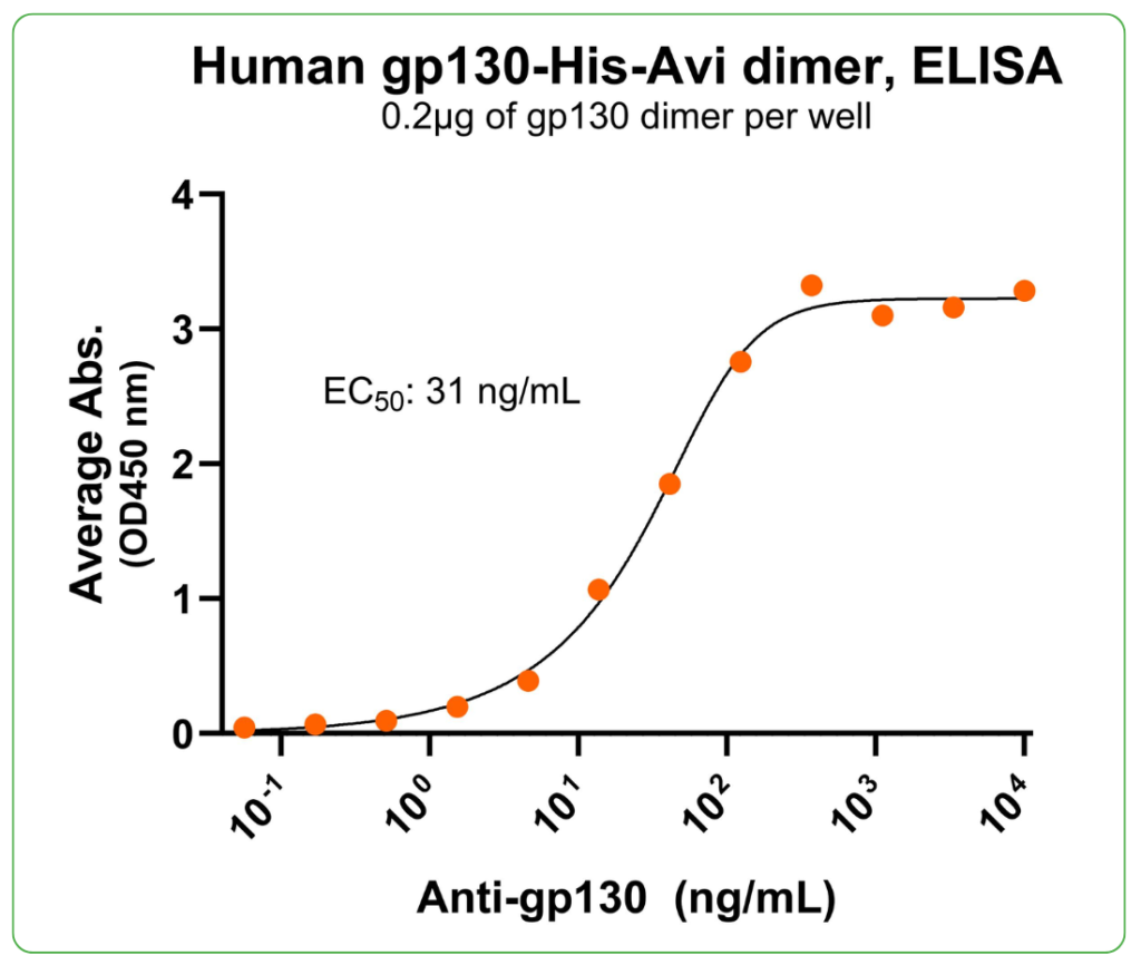 gp130 antibody binding