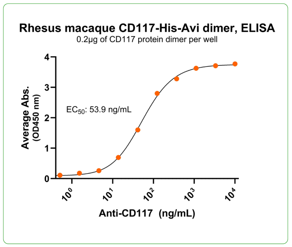 CD117 his tag Rhesus-Macaque antibody binding