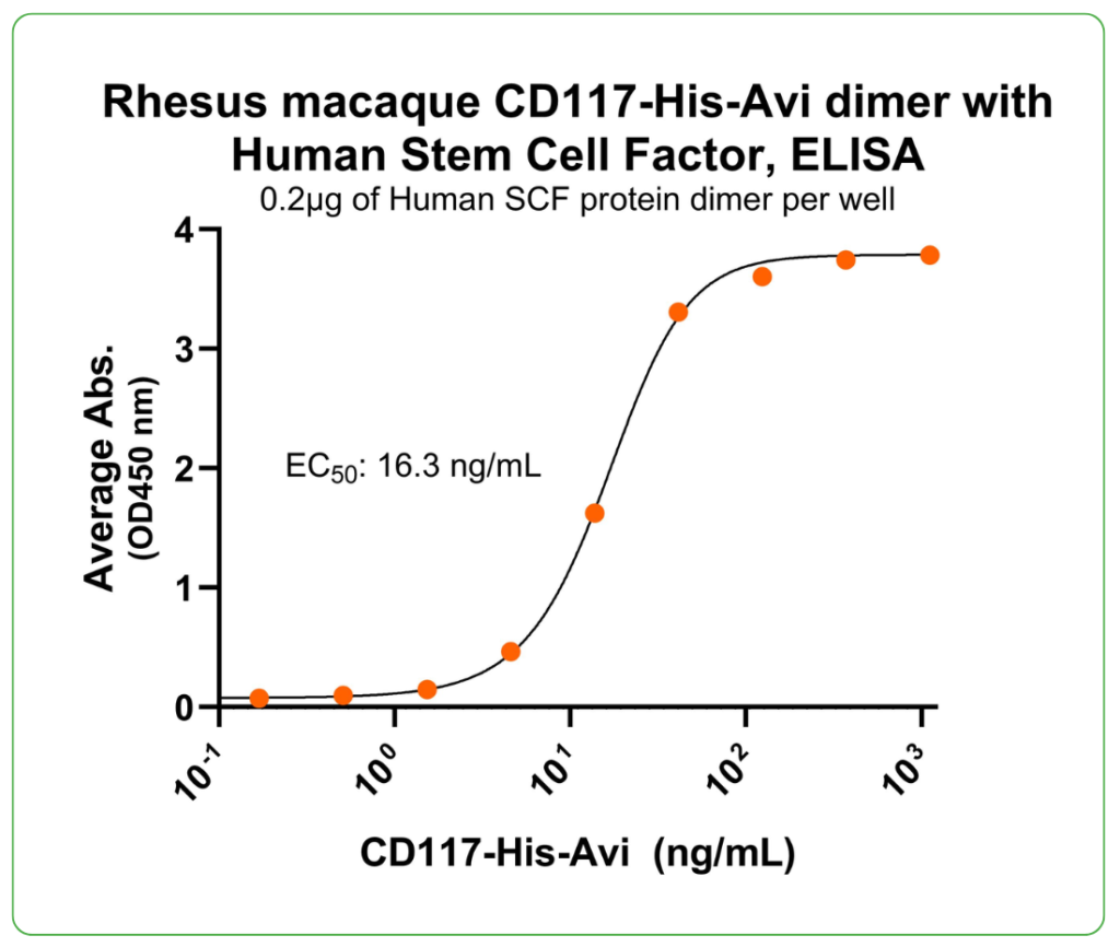 CD117 his tag Rhesus Macaque ligand binding