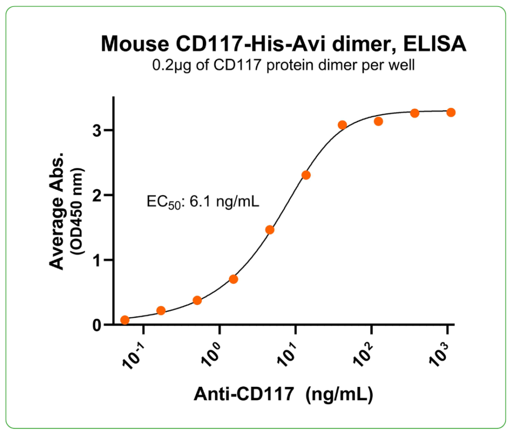 CD117 his tag mouse antibody binding