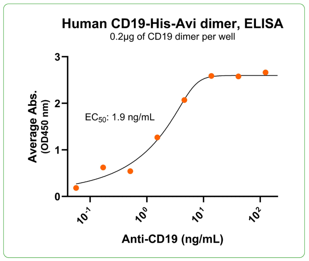 CD19 his-avi antibody binding