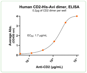 CD2 his-avi antibody binding