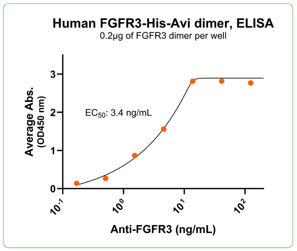 FGFR3 his-avi antibody binding