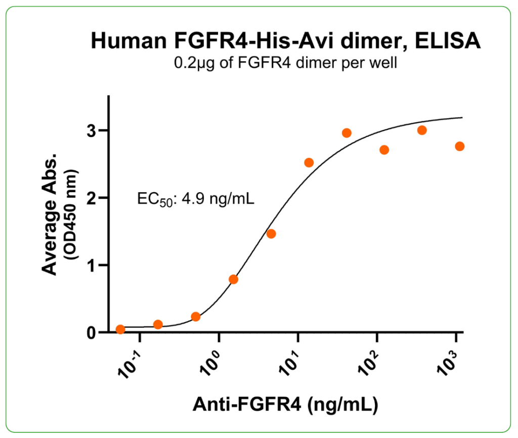 FGFR4 his-avi antibody binding