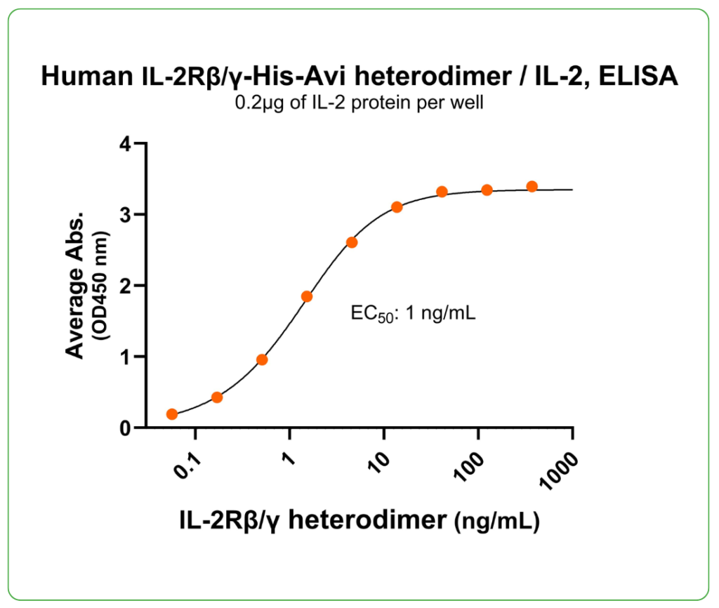 IL-2R beta gamma his-avi human ligand-binding