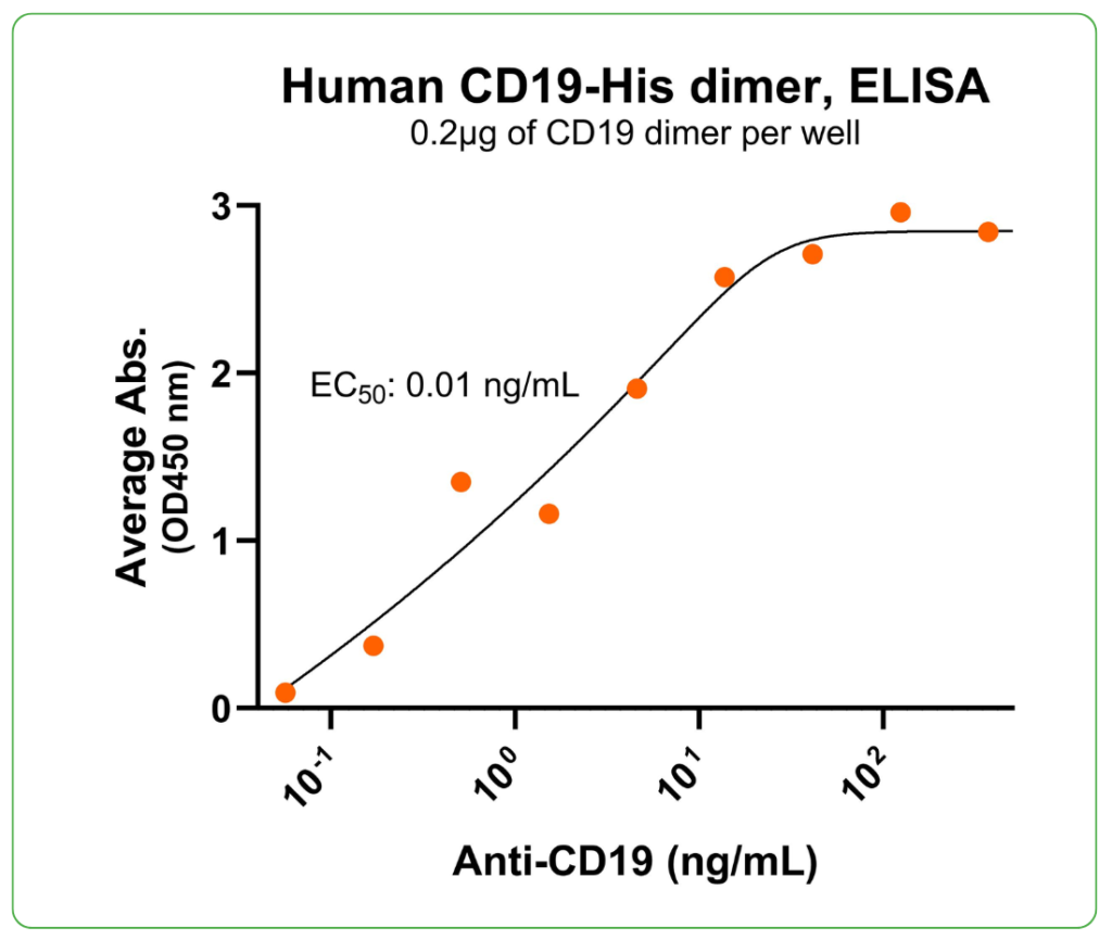 cd19 his tag human antibody binding