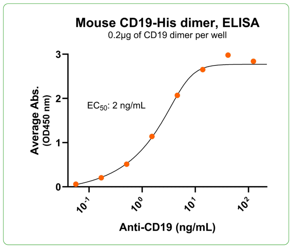 cd19 his tag mouse antibody binding