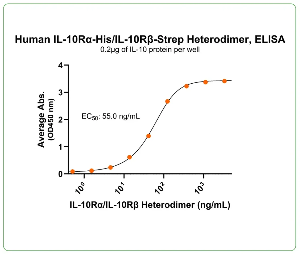 Human IL-10RaIL-10RB Protein His Strep Ligand binding