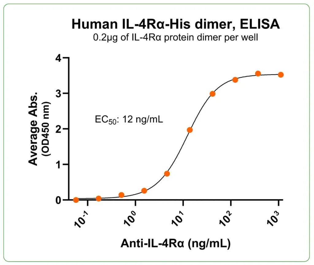 Human IL4Ra Protein His ab binding