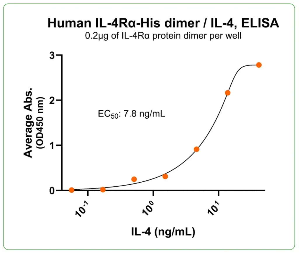 Human IL4Ra Protein His ligand binding