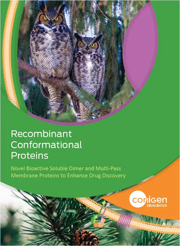 book cover for recombinant conformational proteins