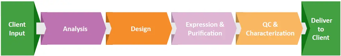 Our Workflow