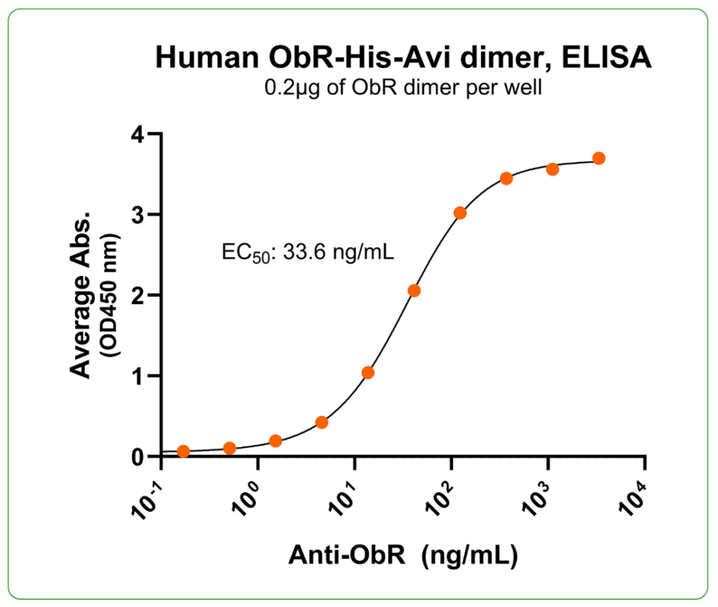 human OrB his avi-antibody binding