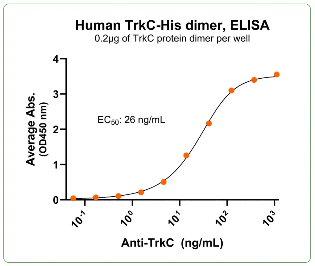 human TrkC protein His ab-binding