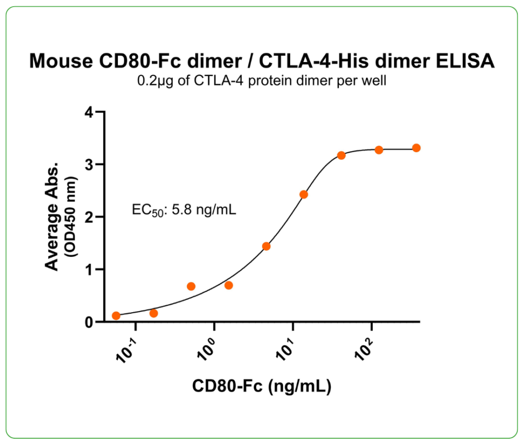 mouse CTLA-4 protein his ligand binding