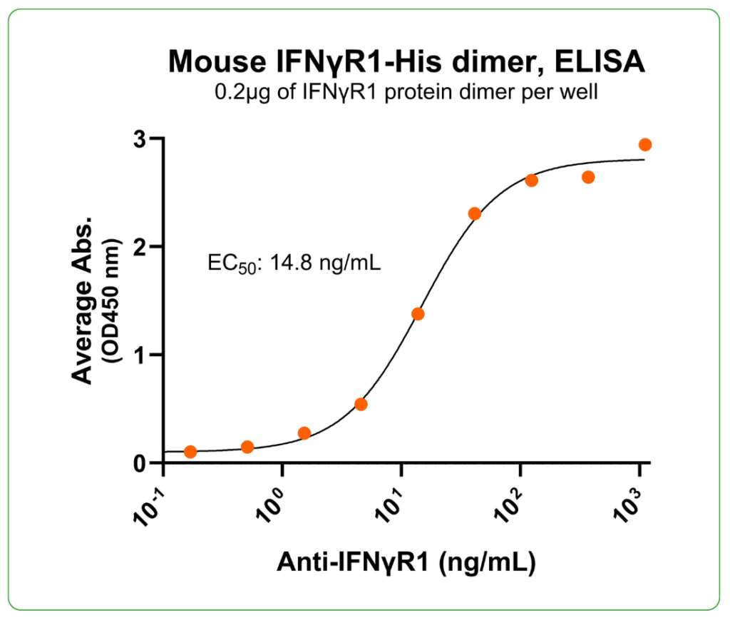 mouse ifngr1 protein his ab binding