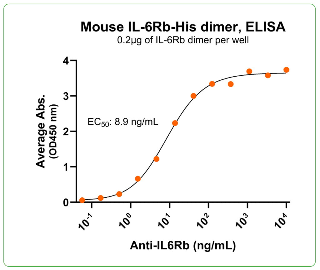 mouse il-6rb protein his ab binding