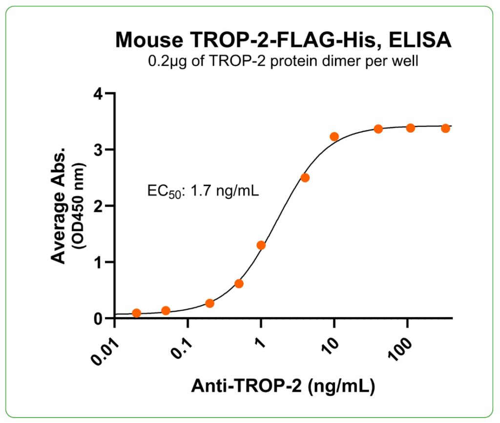 mouse trop-2 protein flag-his ab binding
