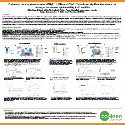 Poster IFNgR1, IL10Ra, IFNaR1R2