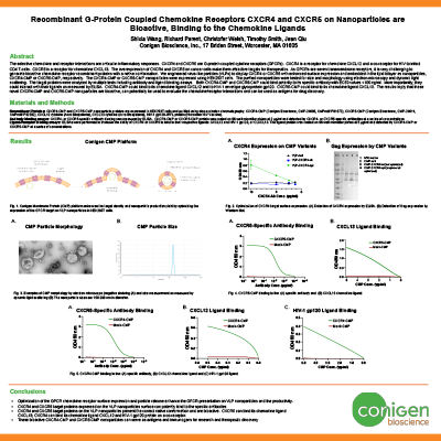 Posterv chemokine receptor VLP