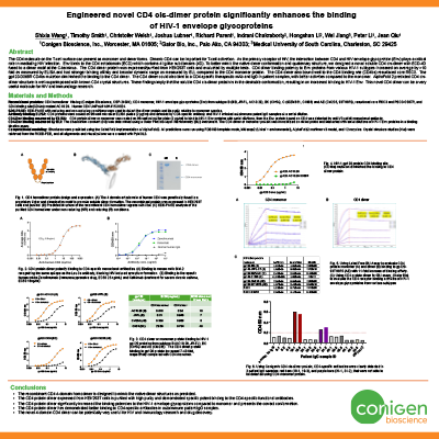Poster CD4 dimer