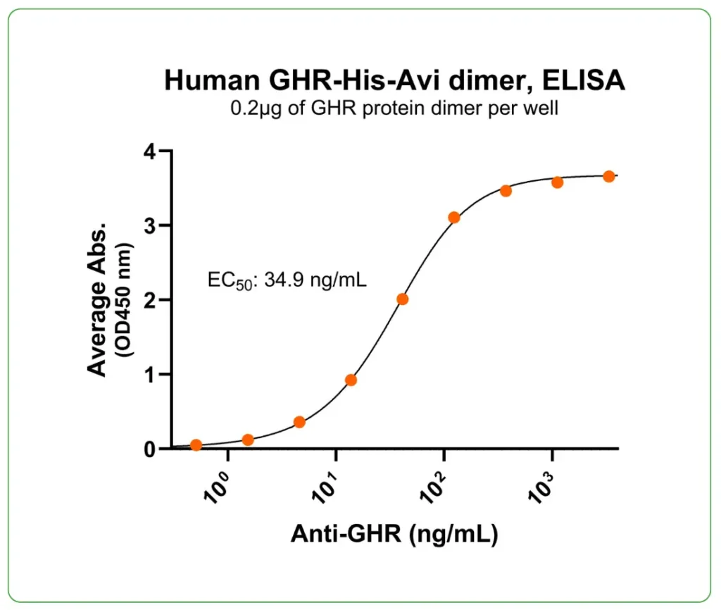 human GHR protein his-avi antibody binding