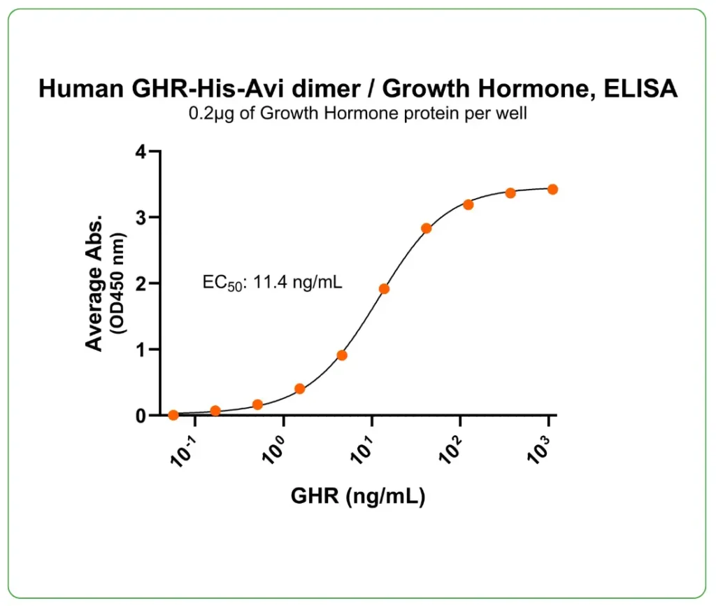 human GHR protein his-avi ligand binding