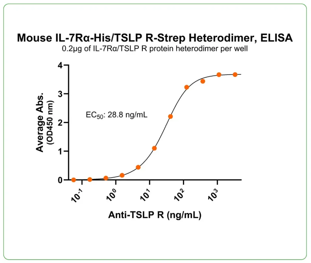 mouse IL-7RaTSLP R protein his strep ab binding