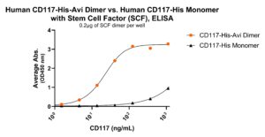 Immobilized human Stem Cell Factor (SCF) at 2 μg/mL (100 μL/well) can bind human CD117 dimer protein, His-Avi Tag (Cat. No. CSP-24123-03) or human CD117 monomer protein.