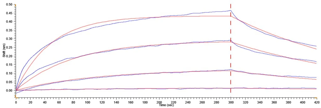 FGFR4 with FGF-1 BLI