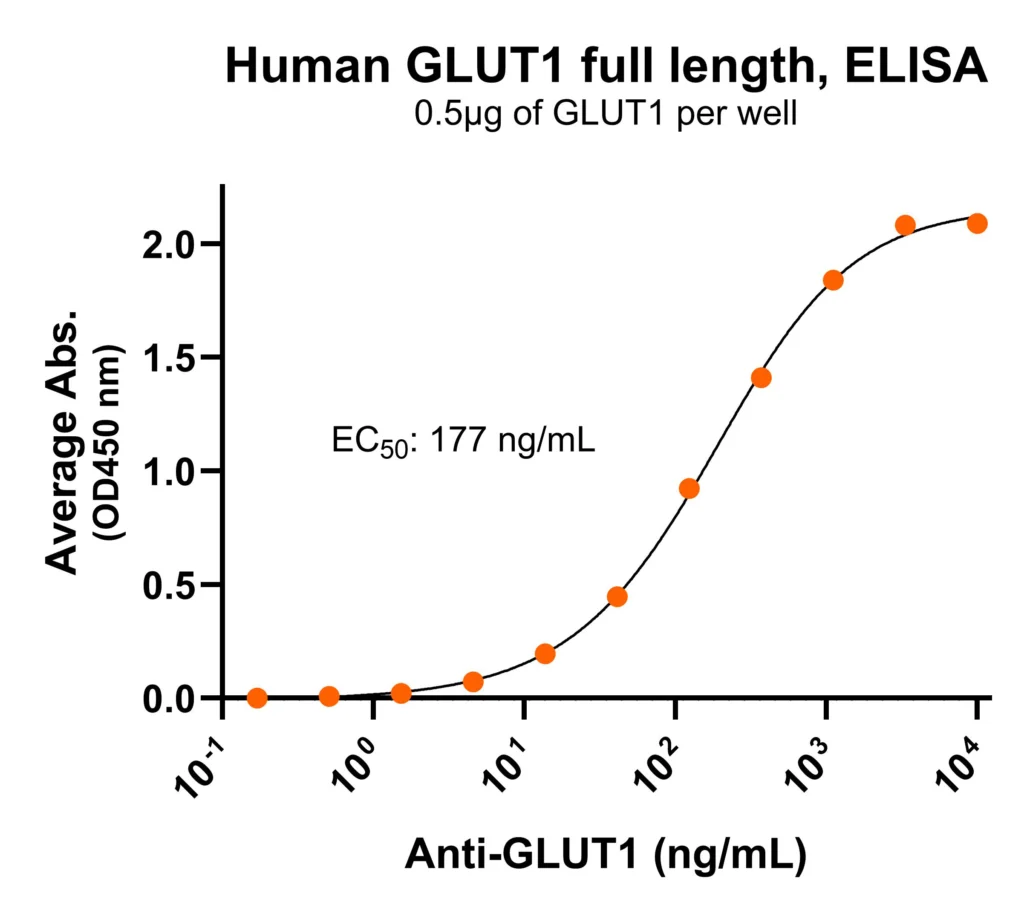 GLUT1 Antibody ELISA for PS