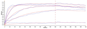 Human CD117-His-Avi Dimer BLI 2.20 nM