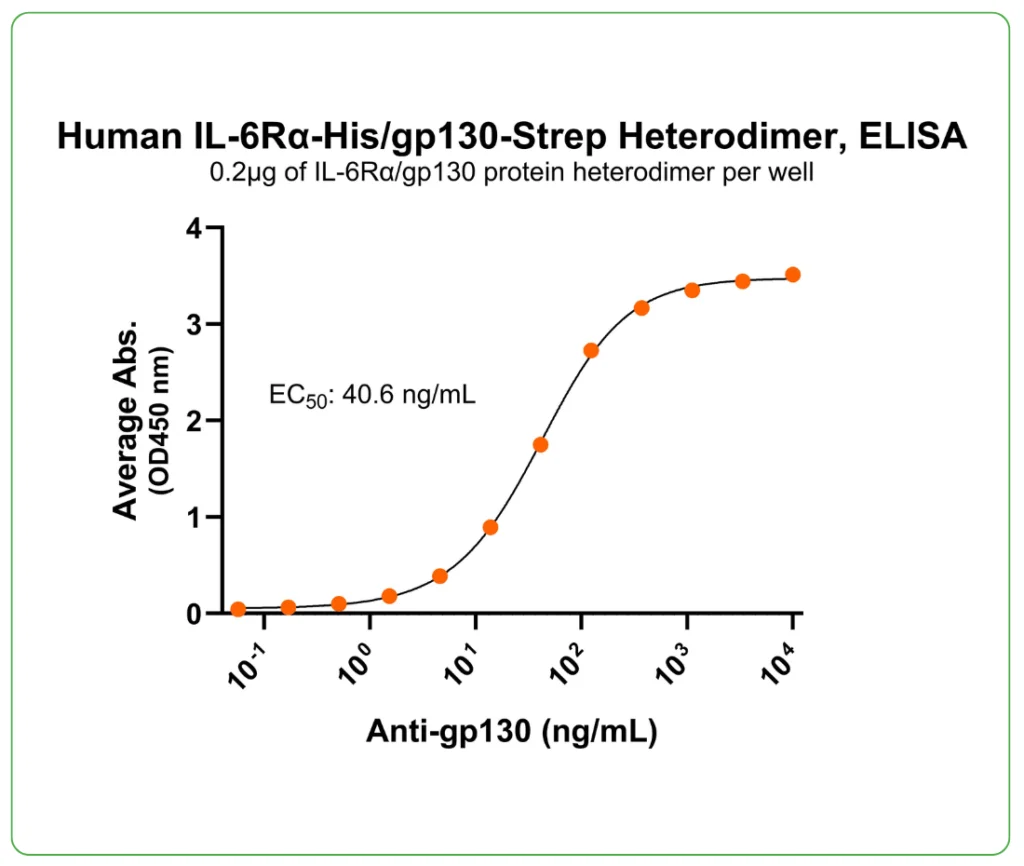 Human IL-6Ra-gp130 Protein Heterodimer His Strep Tag Ab 1