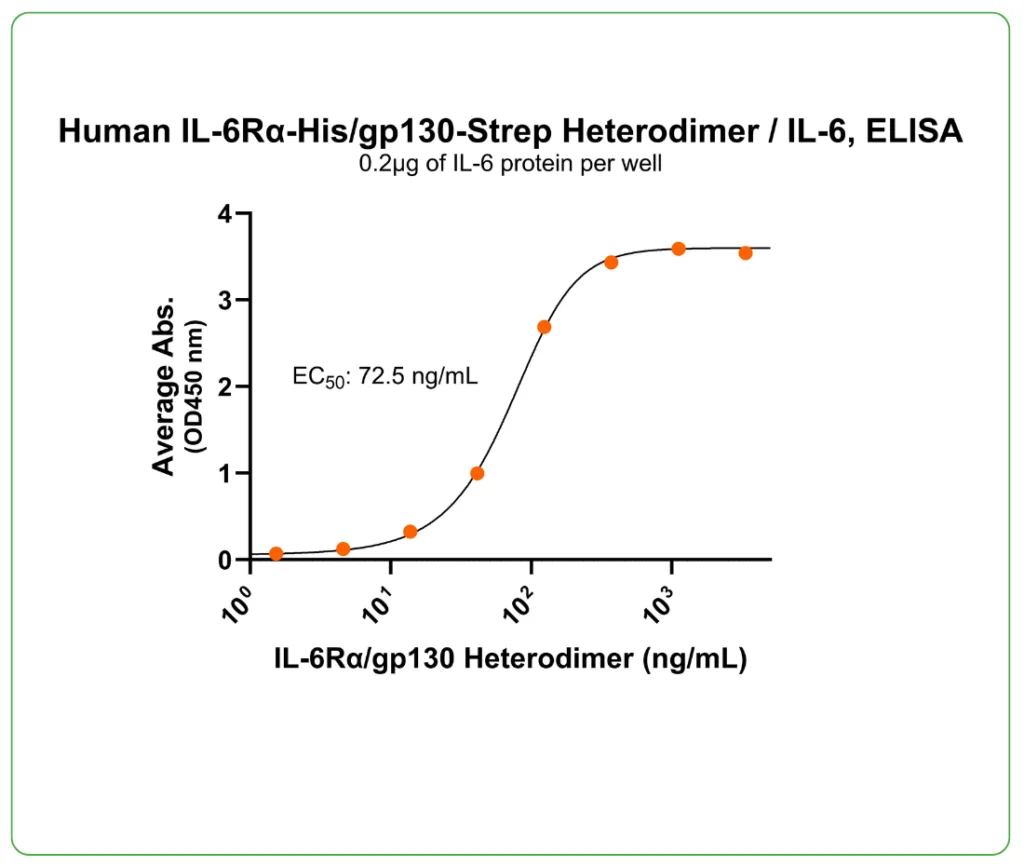 Human IL-6Ra-gp130 Protein Heterodimer His Strep Tag Ligand Binding