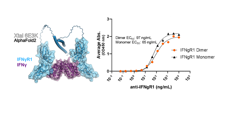 cytokine receptor poster
