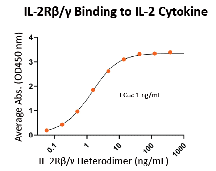 IL-2Rβ/γ Binding to IL-2 Cytokine